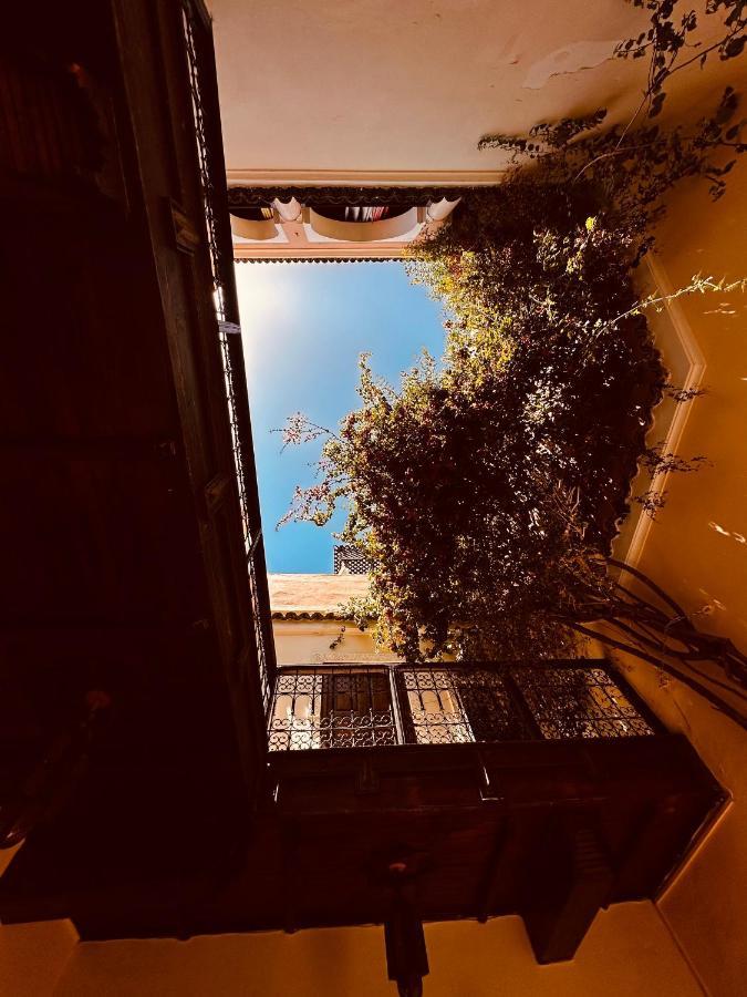 Riad Msholidays Bassin Privatise Marrakech Marrakesh Luaran gambar